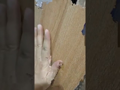 Wprowadzenie do płytek ceramicznych z serii drewnopodobnej 200x1200mm