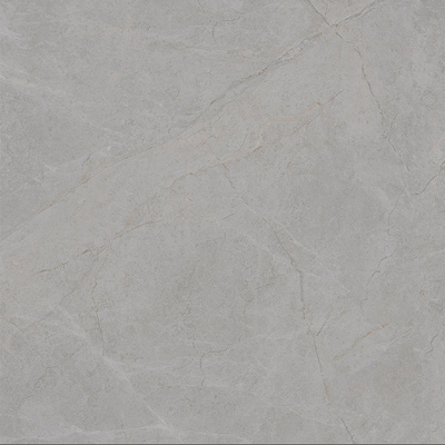 Biuro Eli Szary Płytka porcelanowa 9,5 mm grubość Mat Polerowane wykończenia izolacja cieplna