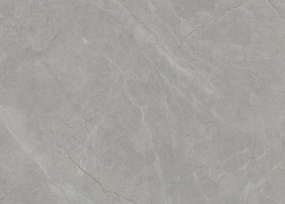 Eli Grey Matte Marble Look Porcelana Płytki podłogowe w 750*1500mm 4 wzór