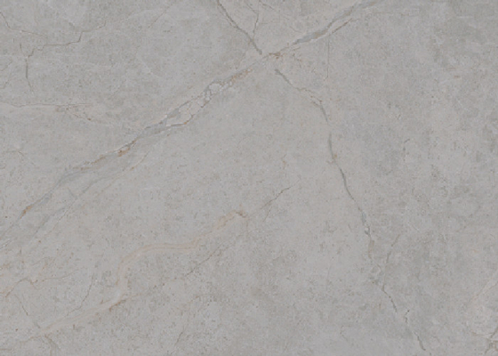 Elegantny 6 wzór marmurowy wygląd ceramiczne płytki podłogowe z wchłanianiem wody 0,5%