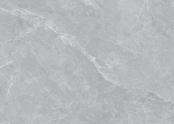 Haute Grey 800*800 Płytki z porcelany w pomieszczeniach wewnętrznych