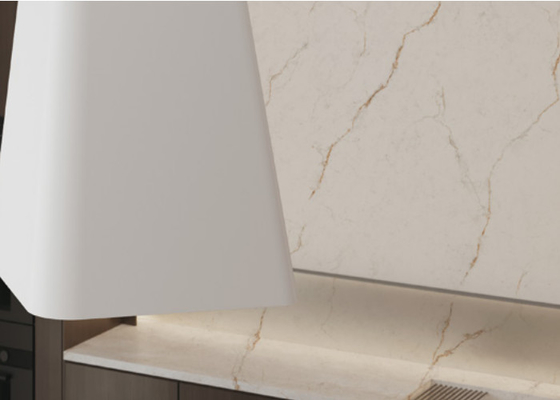 Płytki podłogowe porcelanowe odporne na zadrapania z 3 wzorami Płytki podłogowe porcelanowe odporne na plamy Panele wewnętrzne < 0,5% Wchłanianie wody
