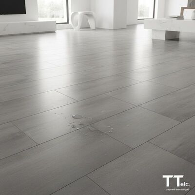 Łatwe w czyszczeniu płytki porcelanowe o wyglądzie cementu, łączące łatwą konserwację z nowoczesnym designem, wspierane przez zespół płatności T T itp.