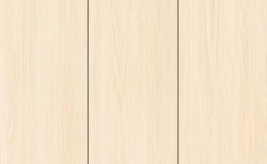 Marble Digital Design Indoor Porcelain Tiles 300 * 600 mm / Ceramiczna płytka ścienna