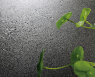 Materiały budowlane Nowoczesna płytka porcelanowa Łatwa czarna płytka podłogowa Poziom 600x300 Mm Płytka ceramiczna w łazience