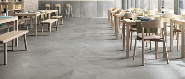 Szare matowe płytki wykończeniowe do ścian Odporna na kwasy płytka porcelanowa o wyglądzie kamienia