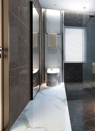750 * 1500 mm ścienna antypoślizgowa trwała płytka porcelanowa o wysokiej precyzji dekoracyjnej