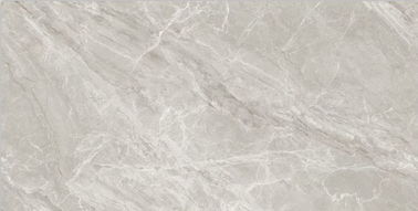 Stock Grey Gloss Łazienka Ceramiczna płytka 36 * 72 cale Indoor Polished ForLiving Room