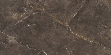Brązowa ceramiczna płytka podłogowa i wielkoformatowa porcelanowa płytka schodowa 900 * 1800 mm Trwała grubość 10 mm Mordern Porcelain Tile