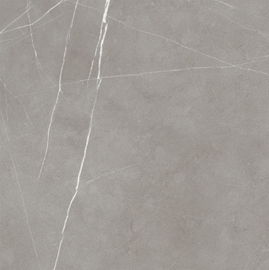 Niestandardowa płytka porcelanowa o wyglądzie cementu 60 * 60 / trwała i antypoślizgowa ceramiczna matowa płytka podłogowa