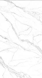 Matowa powierzchnia 1200 * 2400 Duża płytka podłogowa z płyty Biały kolor Gorąca sprzedaż Wewnętrzna płytka porcelanowa w magazynie