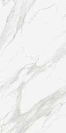 Super duży rozmiar 1200x2400mm Płytka porcelanowa do płytek ściennych i podłogowych Duże kwadratowe płytki podłogowe